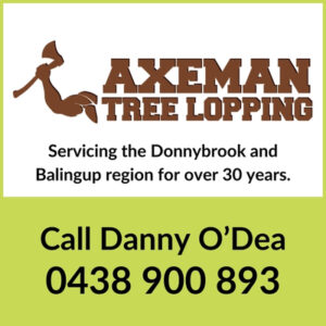 axeman tree lopping services logo